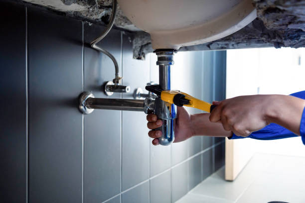 Best Green Plumbing Solutions and Water Conservation  in Loudon, TN